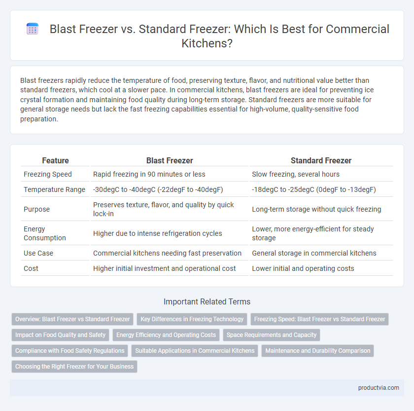 Blast Freezer vs. Standard Freezer: Which Is Best for Commercial Kitchens?