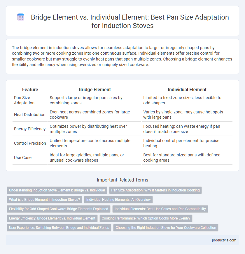 Bridge Element vs. Individual Element: Best Pan Size Adaptation for Induction Stoves