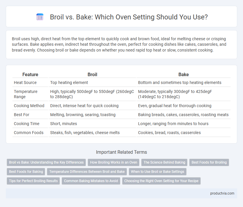 Broil vs. Bake: Which Oven Setting Should You Use?