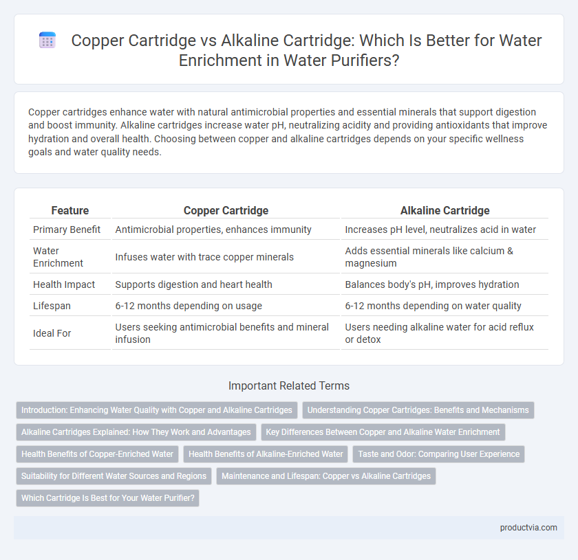 Copper Cartridge vs Alkaline Cartridge: Which Is Better for Water Enrichment in Water Purifiers?