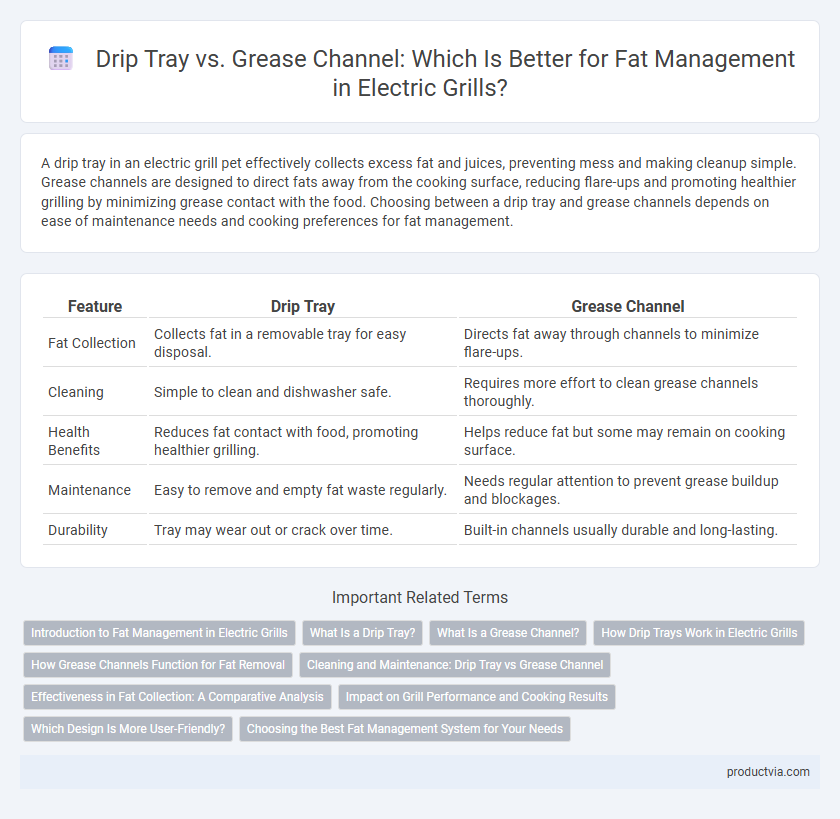 Drip Tray vs. Grease Channel: Which Is Better for Fat Management in Electric Grills?