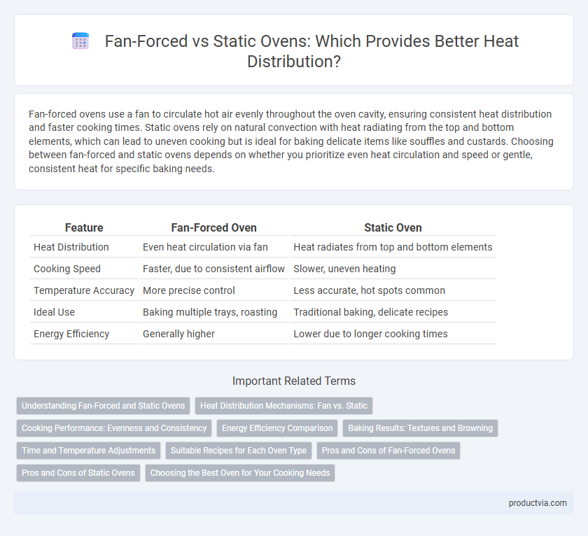 Fan-Forced vs Static Ovens: Which Provides Better Heat Distribution?