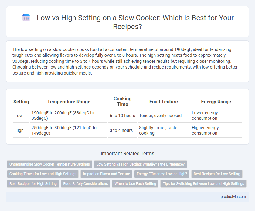 Low vs High Setting on a Slow Cooker: Which is Best for Your Recipes?