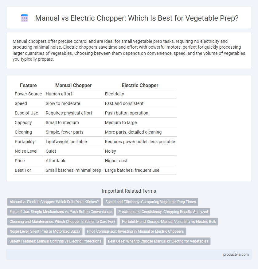 Manual vs Electric Chopper: Which Is Best for Vegetable Prep?