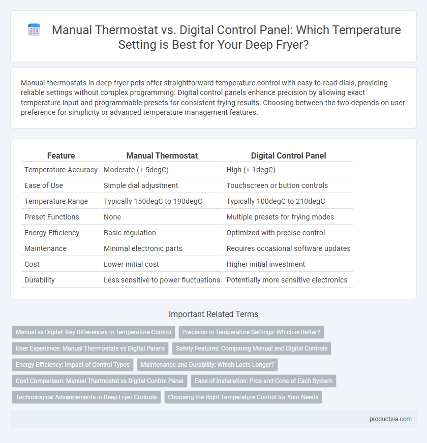 Manual Thermostat vs. Digital Control Panel: Which Temperature Setting is Best for Your Deep Fryer?