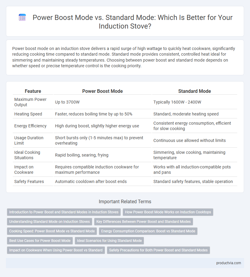 Power Boost Mode vs. Standard Mode: Which Is Better for Your Induction Stove?