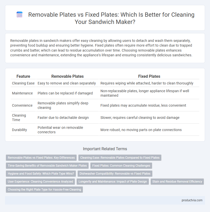 Removable Plates vs Fixed Plates: Which Is Better for Cleaning Your Sandwich Maker?