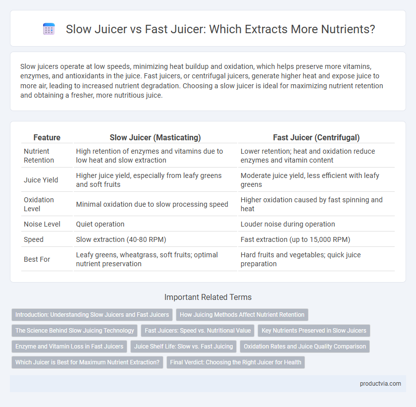 Slow Juicer vs Fast Juicer: Which Extracts More Nutrients?