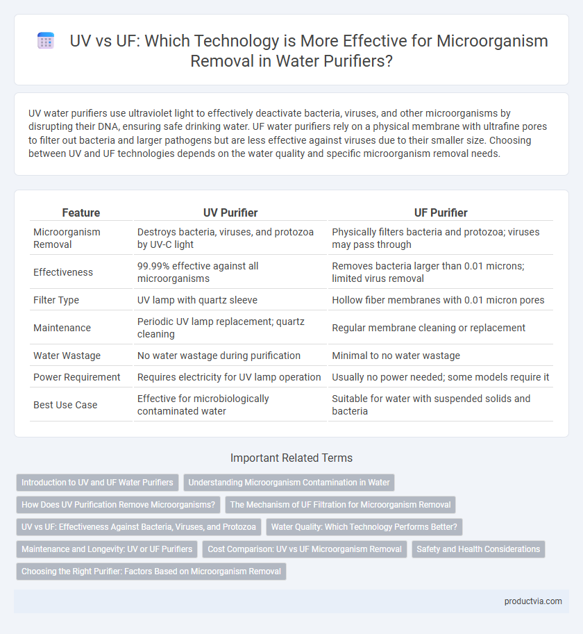 UV vs UF: Which Technology is More Effective for Microorganism Removal in Water Purifiers?